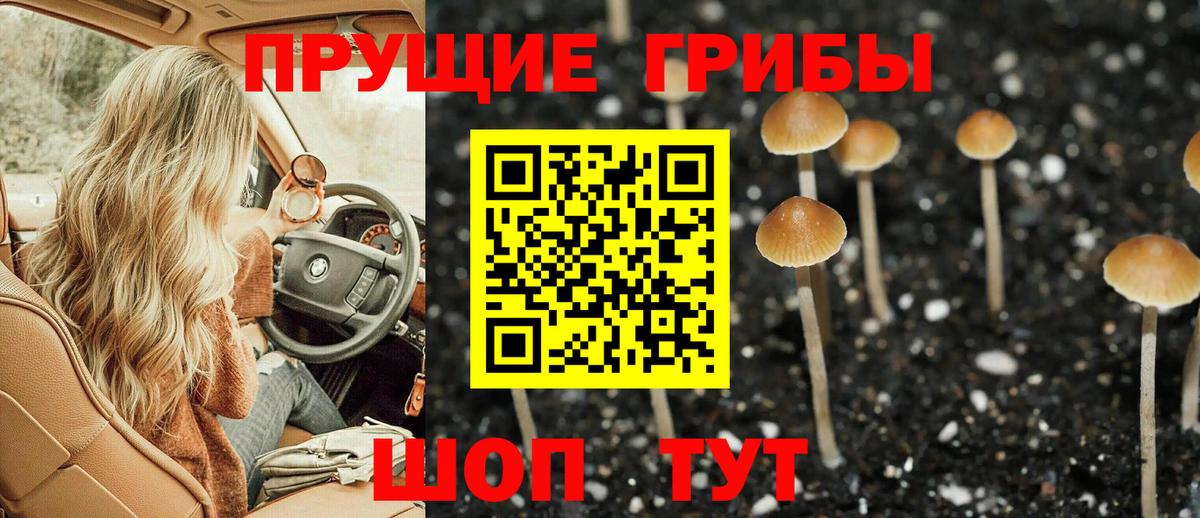 Галлюциногенные грибы мицелий Россия