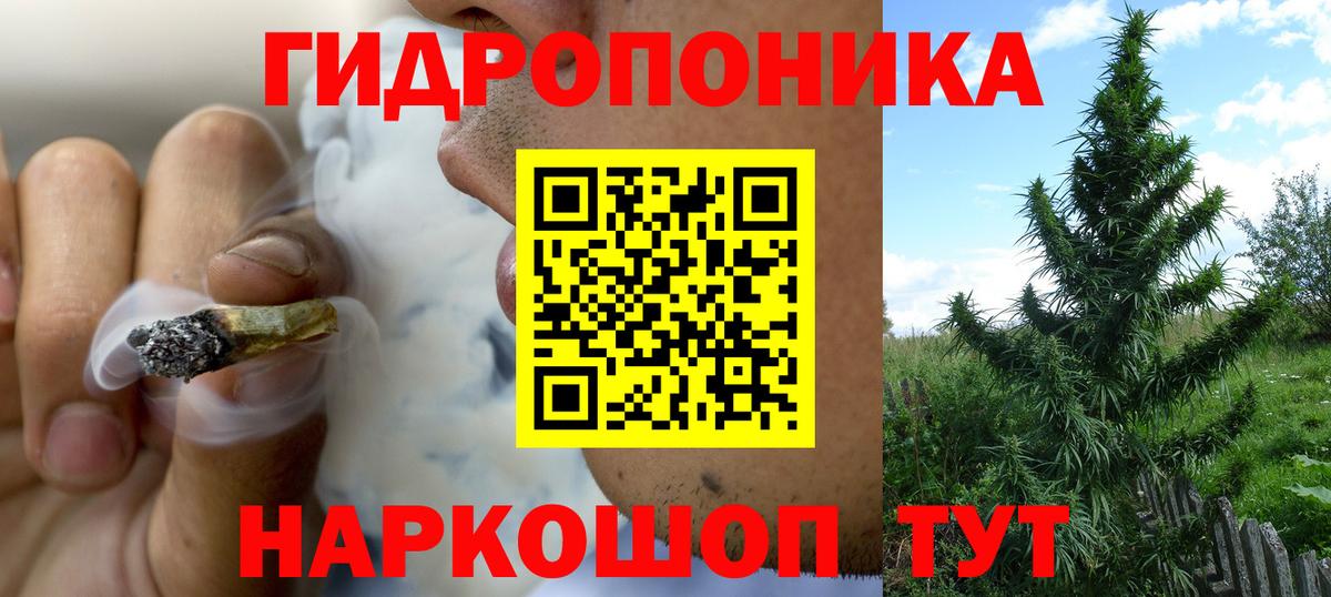 Бошки Шишки White Widow  Вход с VPN  Россия  Конопля тримм  Бошки марихуана OG Kush  Каннабис AK-47 